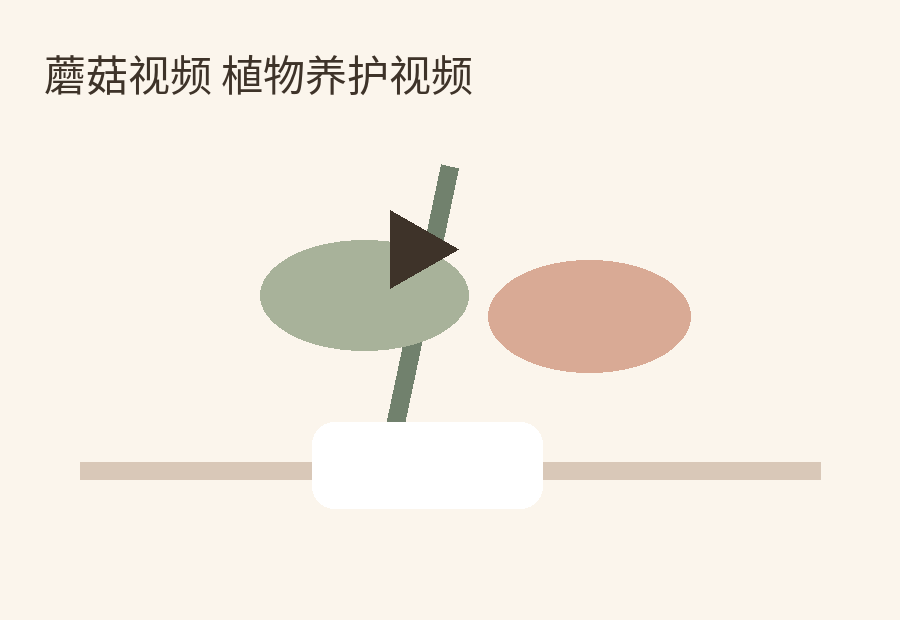 蘑菇视频 植物养护生活视频